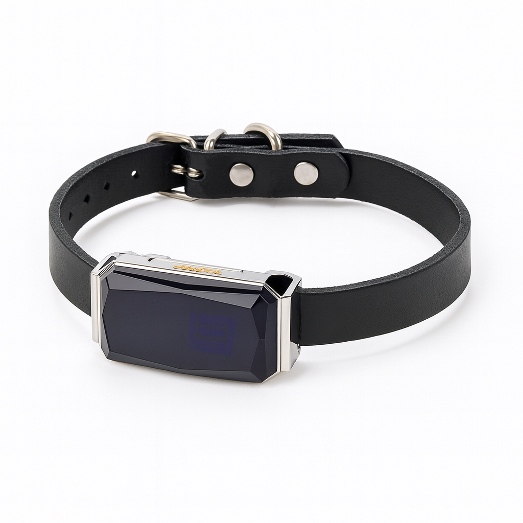 Collar GPS For Dogs