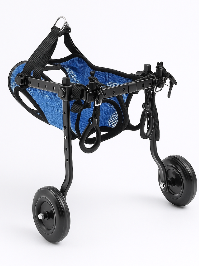 Dog & Cat Wheelchair for Back Legs