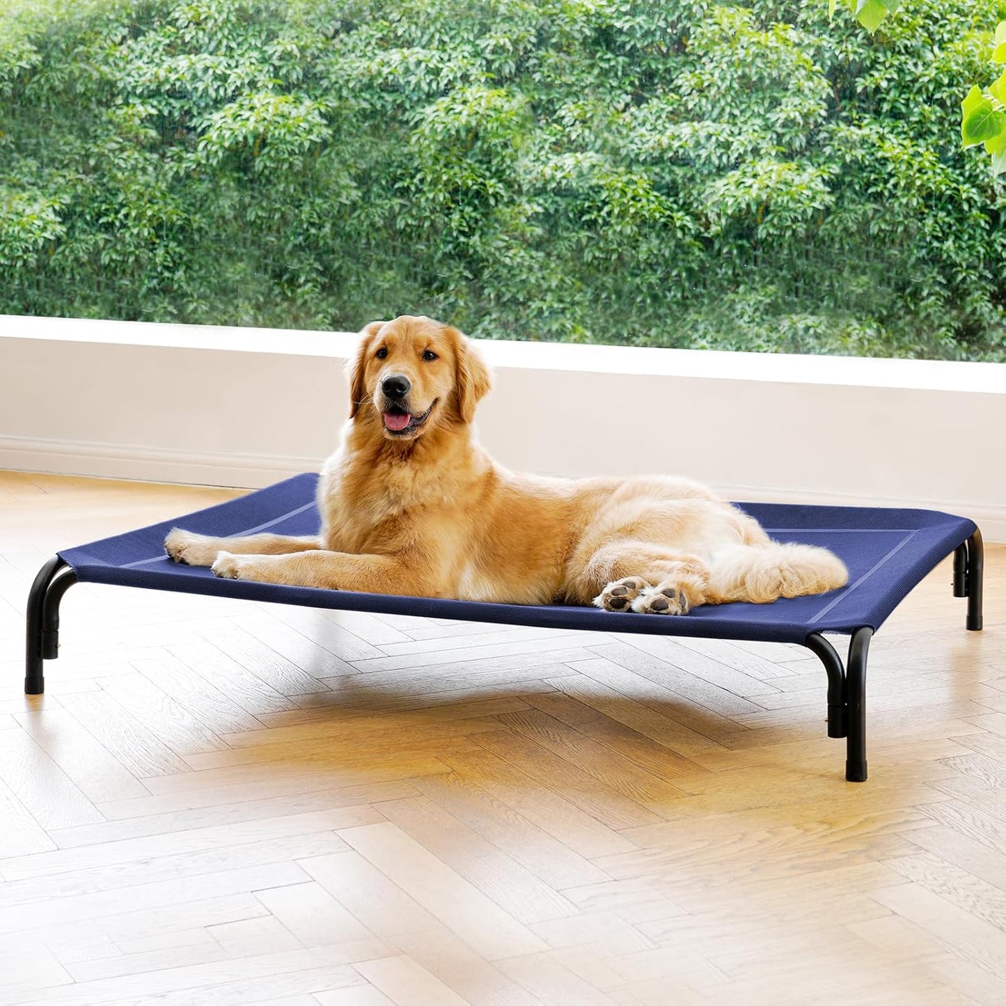 Elevated Dog Bed