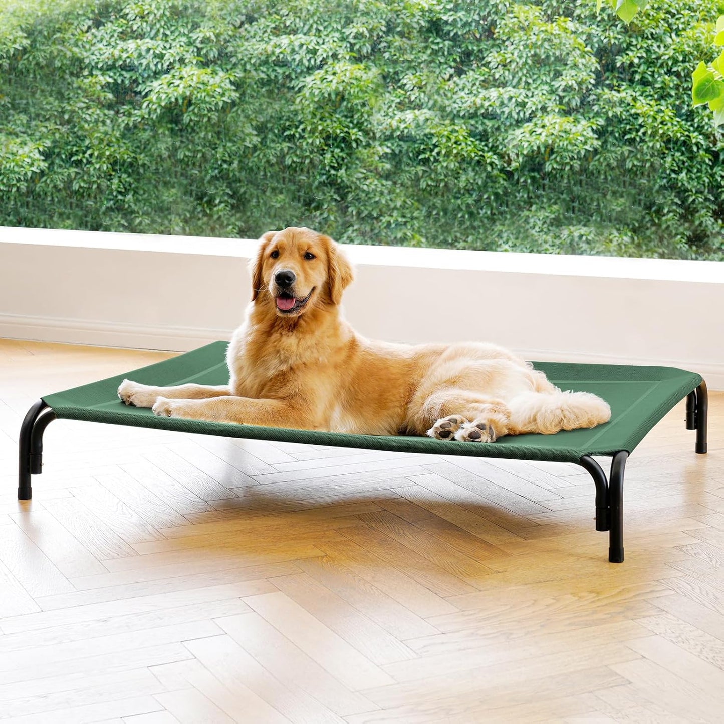 Elevated Dog Bed