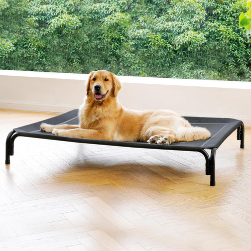 Elevated Dog Bed