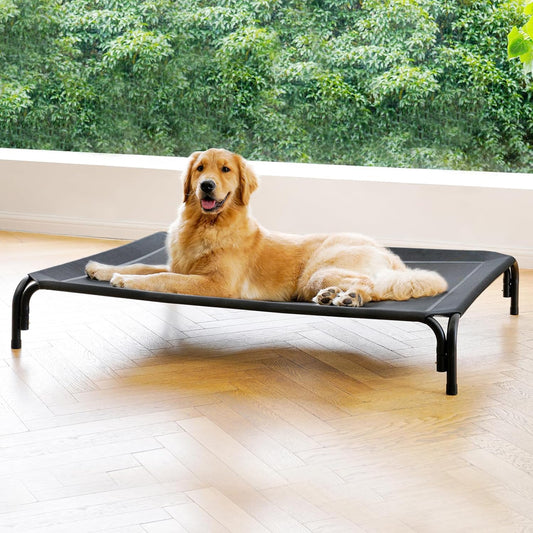 Elevated Dog Bed