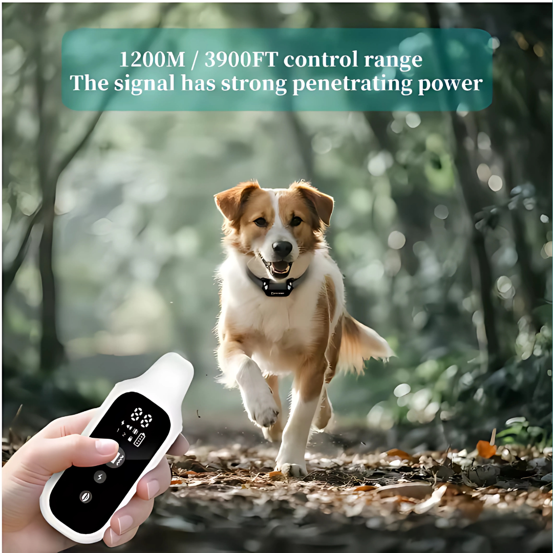 The Ultimate Smart Pet Collar