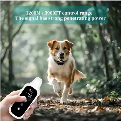 The Ultimate Smart Pet Collar