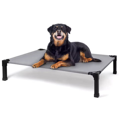 Elevated Dog Bed