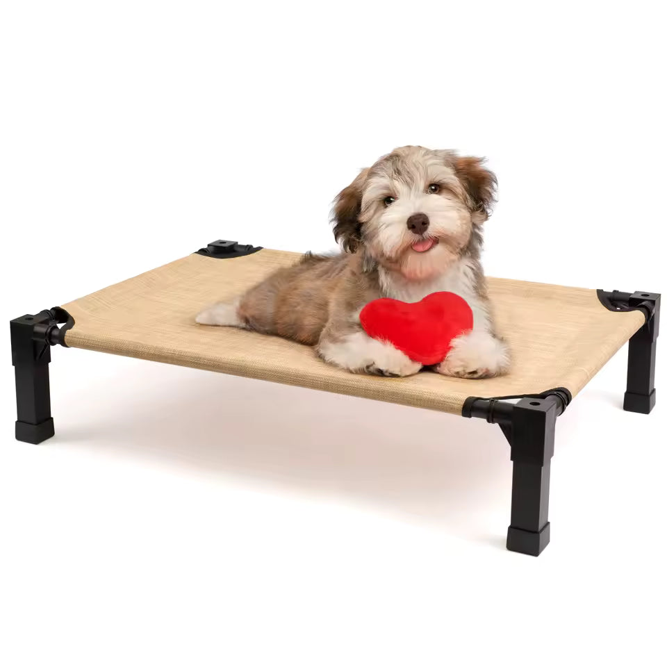 Elevated Dog Bed
