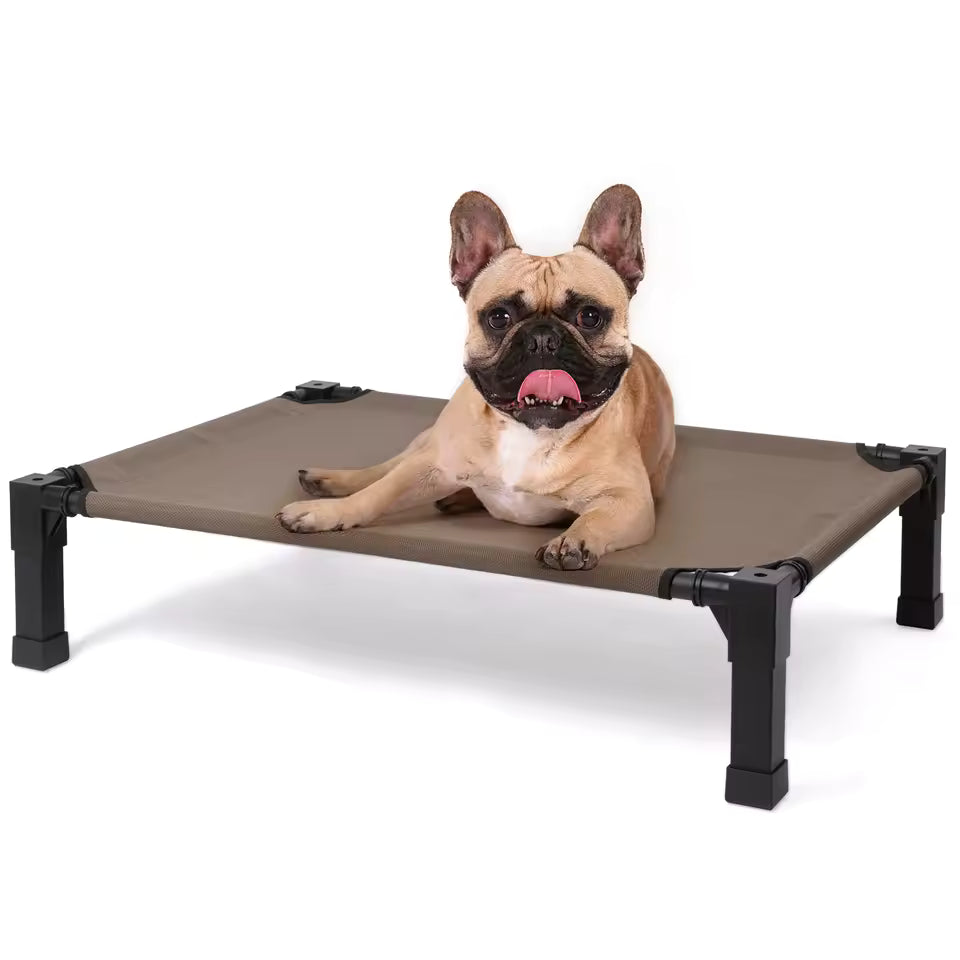 Elevated Dog Bed
